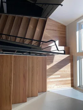 San Carlos Project, project, photo 31