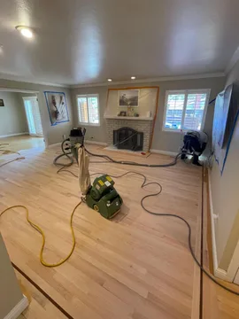 Los Gatos Project, before, photo 10