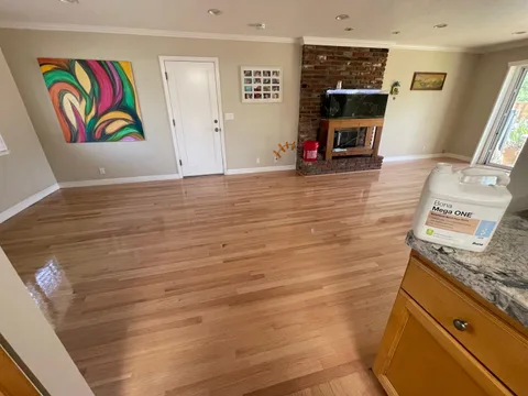 Los Gatos Project, after, photo 12