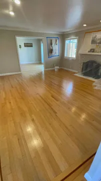 Los Gatos Project, before, photo 3