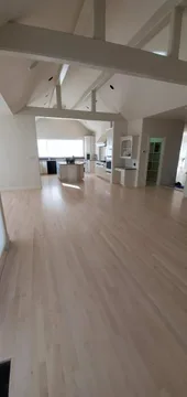San Carlos Project, project, photo 110