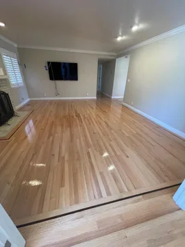 Los Gatos Project, after, photo 13