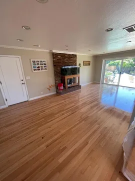 Los Gatos Project, after, photo 8