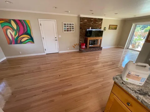 Los Gatos Project, after, photo 15