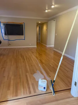 Los Gatos Project, after, photo 4