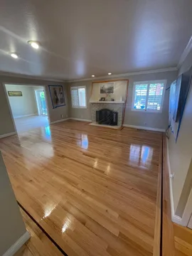 Los Gatos Project, after, photo 5