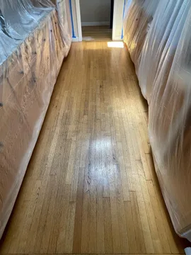 Los Gatos Project, before, photo 8