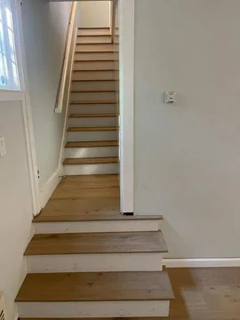 San Carlos Project, after, photo 4