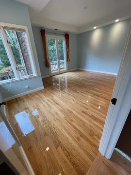 San Carlos Project, after, photo 9