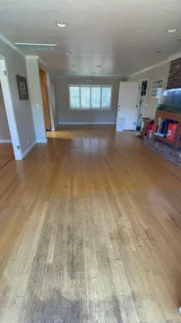 Los Gatos Project, before, photo 4