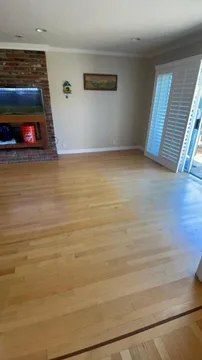 Los Gatos Project, before, photo 2