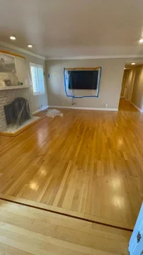 Los Gatos Project, before, photo 5