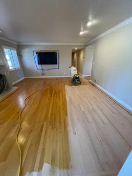 Los Gatos Project, before, photo 11