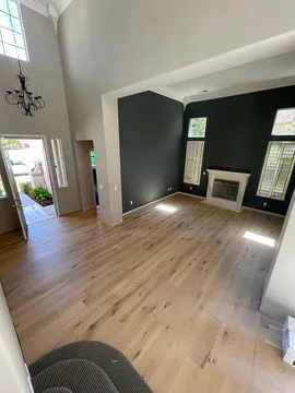 San Carlos Project, after, photo 2
