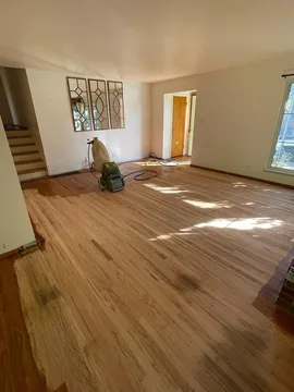 San Carlos Project, before, photo 5