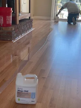 Los Gatos Project, after, photo 14