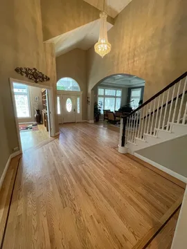 San Carlos Project, project, photo 16
