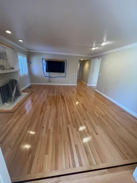 Los Gatos Project, after, photo 3