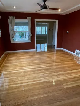 San Carlos Project, after, photo 5