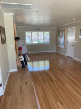 Los Gatos Project, after, photo 7